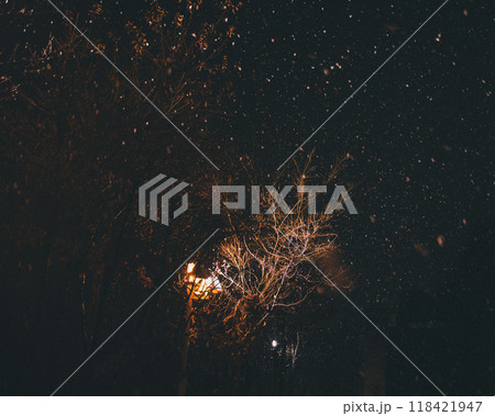 大雪の降る夜 ライトの灯りに照らされる木 暗闇 夜道 大雪の降る夜 ライトの灯りに照らされる木 暗闇 夜道 118421947