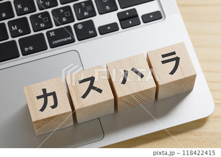 カスハラと書かれた積み木のブロック 118422415