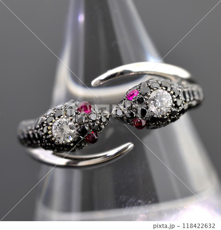 ブラックダイヤモンドとルビーのスネークリング ブラックダイヤモンドとルビーのスネークリング 118422632