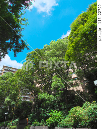 緑豊かな広尾の高級マンション(2024年8月) 緑豊かな広尾の高級マンション(2024年8月) 118422799