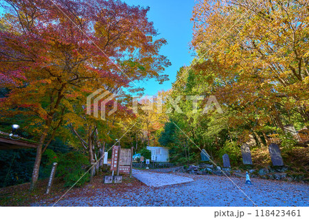 埼玉県秩父郡長瀞町の宝登山神社からロープウェイ宝登山麓駅方面に向かうハイキング道(宝登山登山道接続) 埼玉県秩父郡長瀞町の宝登山神社からロープウェイ宝登山麓駅方面に向かうハイキング道(宝登山登山道接続) 118423461