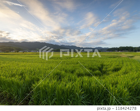 奈良県の明日香村に広がる田園風景 奈良県の明日香村に広がる田園風景 118424278