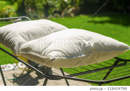 Two white down pillows are dried or ventilated in an open air in the garden. High quality photo 118424799