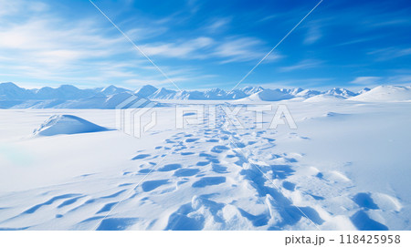 美しい青空と雪原の風景 118425958
