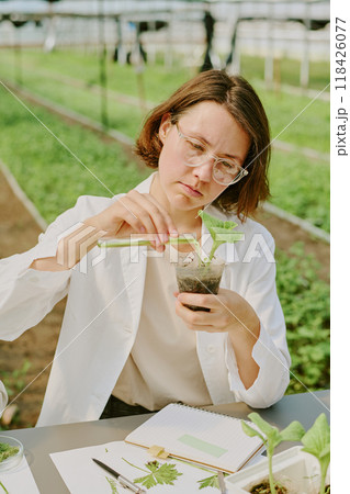 Scientist in greenhouse inspecting plant seedling while taking notes with clipboard on table, illustrating precision in agricultural research Scientist in greenhouse inspecting plant seedling while taking notes with clipboard on table, illustrating precision in agricultural research 118426077
