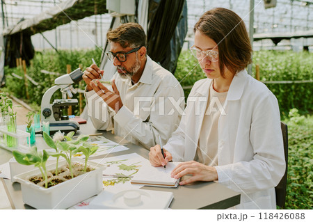 Two scientists working in a lab examining plant specimens surrounded by lush greenery. Researching plant growth under controlled conditions in a greenhouse setting 118426088