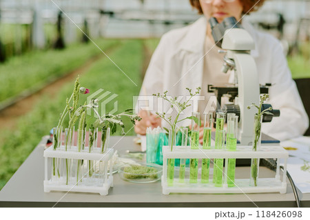 Researcher working in agricultural laboratory with microscope and test tubes filled with green solutions and plants. Laboratory equipped with advanced scientific tools for agricultural development Researcher working in agricultural laboratory with microscope and test tubes filled with green solutions and plants. Laboratory equipped with advanced scientific tools for agricultural development 118426098
