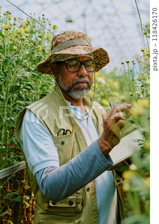 Elderly man wearing beige hat and glasses, surrounded by blooming yellow plants in greenhouse, taking notes or making observations in small notepad, concentrating deeply 118426170