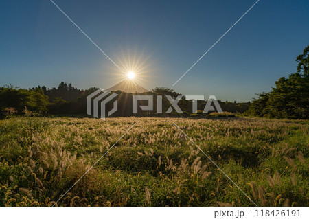 【ダイヤモンド富士】初秋の朝霧高原・猪之頭地区から見るチカラシバとダイヤモンド富士【静岡県】 【ダイヤモンド富士】初秋の朝霧高原・猪之頭地区から見るチカラシバとダイヤモンド富士【静岡県】 118426191