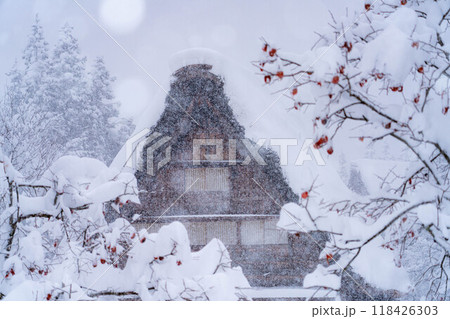 【世界遺産】豪雪の白川郷【岐阜県】 118426303