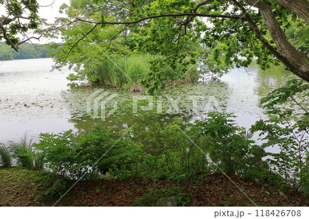 Onuma lake at Onuma Quasi-national park near the town of Nanae on the Oshima Peninsula in Hokkaido. Onuma lake at Onuma Quasi-national park near the town of Nanae on the Oshima Peninsula in Hokkaido. 118426708