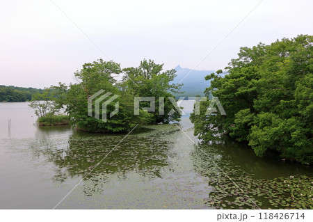 Onuma lake at Onuma Quasi-national park near the town of Nanae on the Oshima Peninsula in Hokkaido. 118426714