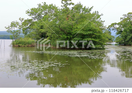 Onuma lake at Onuma Quasi-national park near the town of Nanae on the Oshima Peninsula in Hokkaido. Onuma lake at Onuma Quasi-national park near the town of Nanae on the Oshima Peninsula in Hokkaido. 118426717
