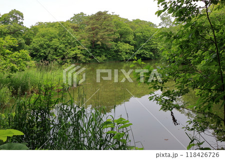 Onuma lake at Onuma Quasi-national park near the town of Nanae on the Oshima Peninsula in Hokkaido. Onuma lake at Onuma Quasi-national park near the town of Nanae on the Oshima Peninsula in Hokkaido. 118426726