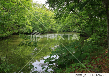 Onuma lake at Onuma Quasi-national park near the town of Nanae on the Oshima Peninsula in Hokkaido. Onuma lake at Onuma Quasi-national park near the town of Nanae on the Oshima Peninsula in Hokkaido. 118426728