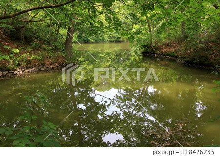 Onuma lake at Onuma Quasi-national park near the town of Nanae on the Oshima Peninsula in Hokkaido. Onuma lake at Onuma Quasi-national park near the town of Nanae on the Oshima Peninsula in Hokkaido. 118426735