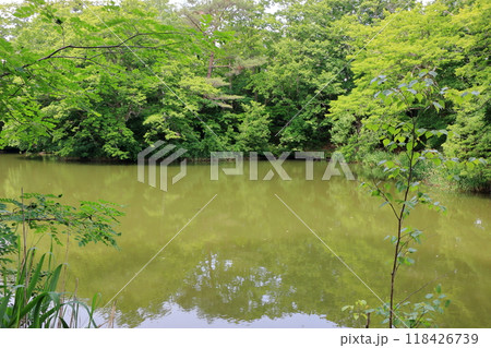Onuma lake at Onuma Quasi-national park near the town of Nanae on the Oshima Peninsula in Hokkaido. Onuma lake at Onuma Quasi-national park near the town of Nanae on the Oshima Peninsula in Hokkaido. 118426739