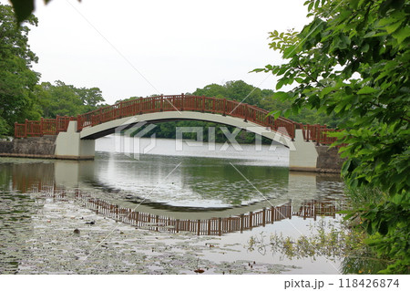 A bridge between islands on lake onuma in the onuma quasi-national park near nanae town on the oshima peninsula in southwestern hokkaido, Japan 118426874