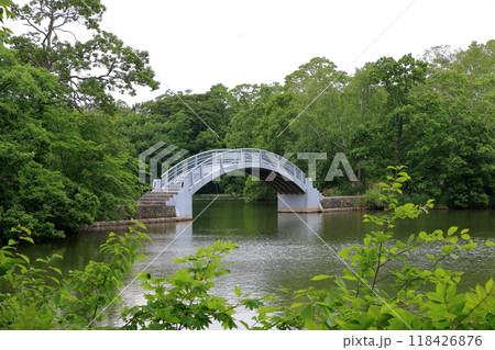 A bridge between islands on lake onuma in the onuma quasi-national park near nanae town on the oshima peninsula in southwestern hokkaido, Japan A bridge between islands on lake onuma in the onuma quasi-national park near nanae town on the oshima peninsula in southwestern hokkaido, Japan 118426876