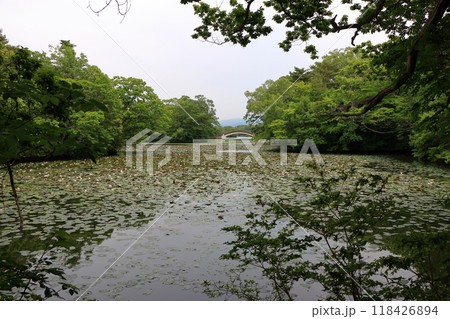 A bridge between islands on lake onuma in the onuma quasi-national park near nanae town on the oshima peninsula in southwestern hokkaido, Japan 118426894
