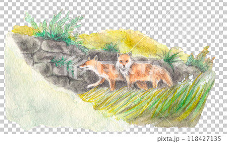 野山を歩く2匹のキツネの手描き水彩画　田舎風景 118427135