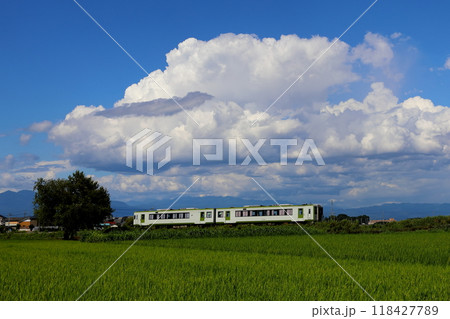 青空の八高線 118427789