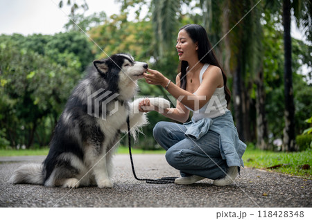 A smart and cute Siberian husky giving a handshake with the owner. 118428348