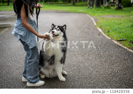 An Asian female dog owner training her dog while giving him a walk in a green public park, asking for handshake 118428356