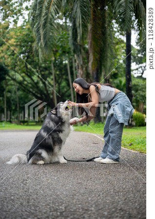 A female dog owner is training her dog to give a handshake and obey using a tennis ball. 118428389