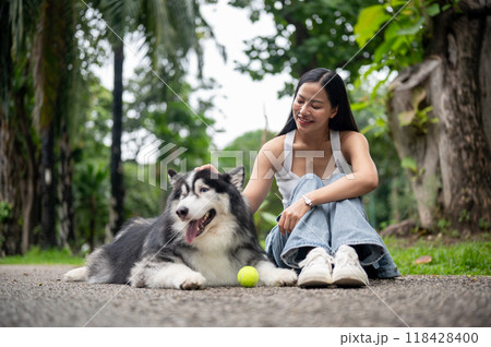 A beautiful Siberian husky is laying on a street in a park with a tennis ball and its owner nearby. A beautiful Siberian husky is laying on a street in a park with a tennis ball and its owner nearby. 118428400