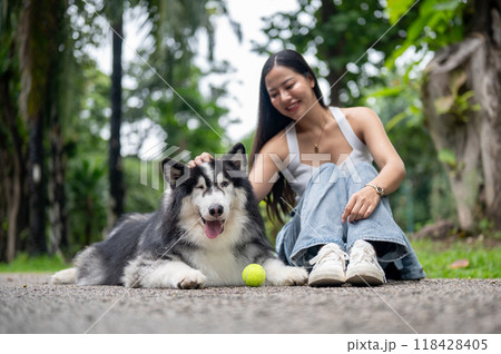 A beautiful Siberian husky is laying on a street in a park with a tennis ball and its owner nearby. A beautiful Siberian husky is laying on a street in a park with a tennis ball and its owner nearby. 118428405