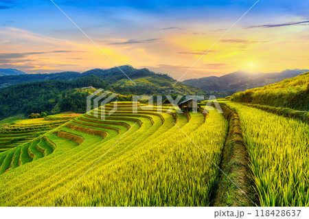 Beautiful Rice terraces at Mam xoi viewpoint in Mu cang chai, Vietnam. Beautiful Rice terraces at Mam xoi viewpoint in Mu cang chai, Vietnam. 118428637