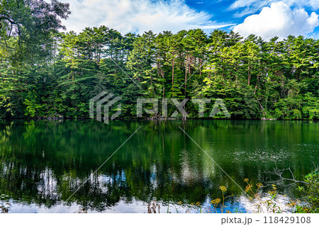 福島一人旅で尋ねた裏磐梯五色沼の中の柳沼の風景 118429108
