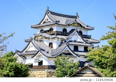 彦根市、国宝彦根城天守 118429606