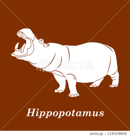 Hippopotamus icon Hippopotamus icon 118429608