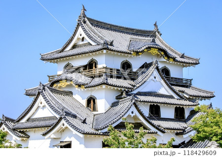 彦根市、国宝彦根城天守 彦根市、国宝彦根城天守 118429609