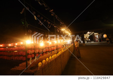水無瀬神社ライトアップ 118429847