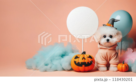 Funny Puppy dog in halloween festival costume on pastel background. Halloween Concept. Funny Puppy dog in halloween festival costume on pastel background. Halloween Concept. 118430201