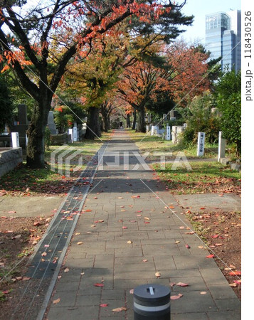 晩秋の都内風景-108 晩秋の都内風景-108 118430526