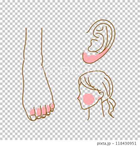 しもやけのよく発症する部位のイメージイラスト（足・耳・頬） 118430951