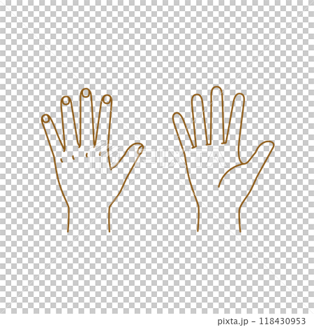 Child's Hands: Palm and Back Hand Pose Set 118430953