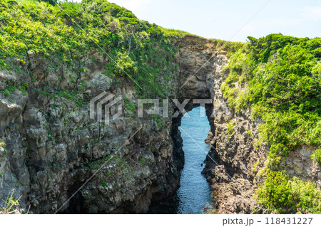 鬼の足跡　牧崎公園 118431227