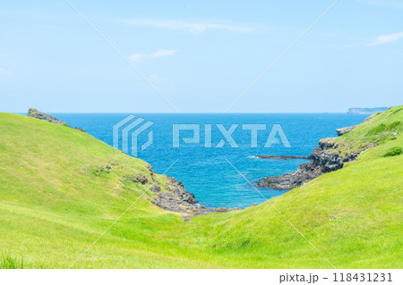 鬼の足跡　牧崎公園 118431231