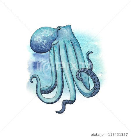 Hand drawn blue octopus, watercolor illustration 118431527