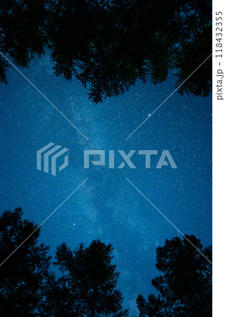 八ヶ岳高原から見上げる夏の大三角形 118432355