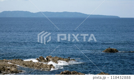 笹川流れの岩礁で羽休めの鵜と粟島 笹川流れの岩礁で羽休めの鵜と粟島 118432888