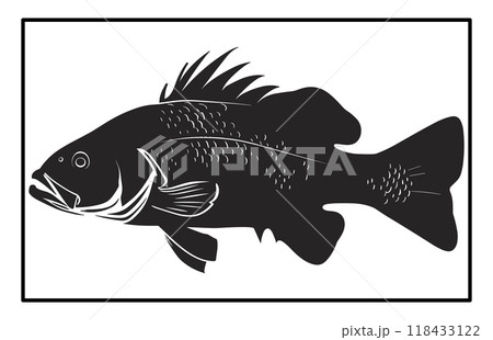 Black and White Barramundi Fish Silhouette Illustration, barramundi fish logo 118433122