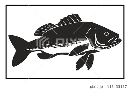 Black and White Barramundi Fish Silhouette Illustration, barramundi fish logo 118433127
