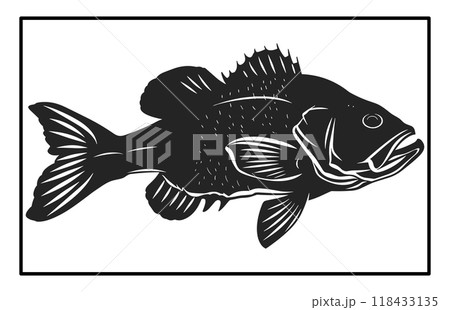 Black and White Barramundi Fish Silhouette Illustration, barramundi fish logo Black and White Barramundi Fish Silhouette Illustration, barramundi fish logo 118433135
