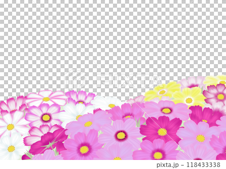 ピンクと白や黄色のコスモスが沢山ある背景 118433338